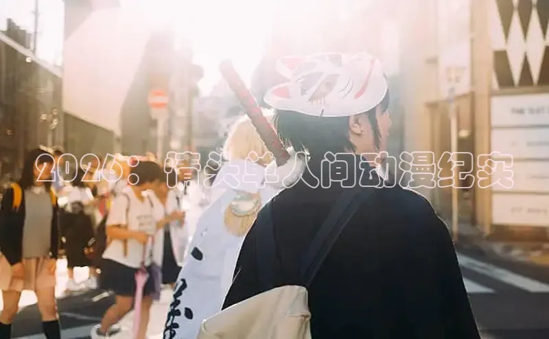 2026：情头单人间动漫纪实